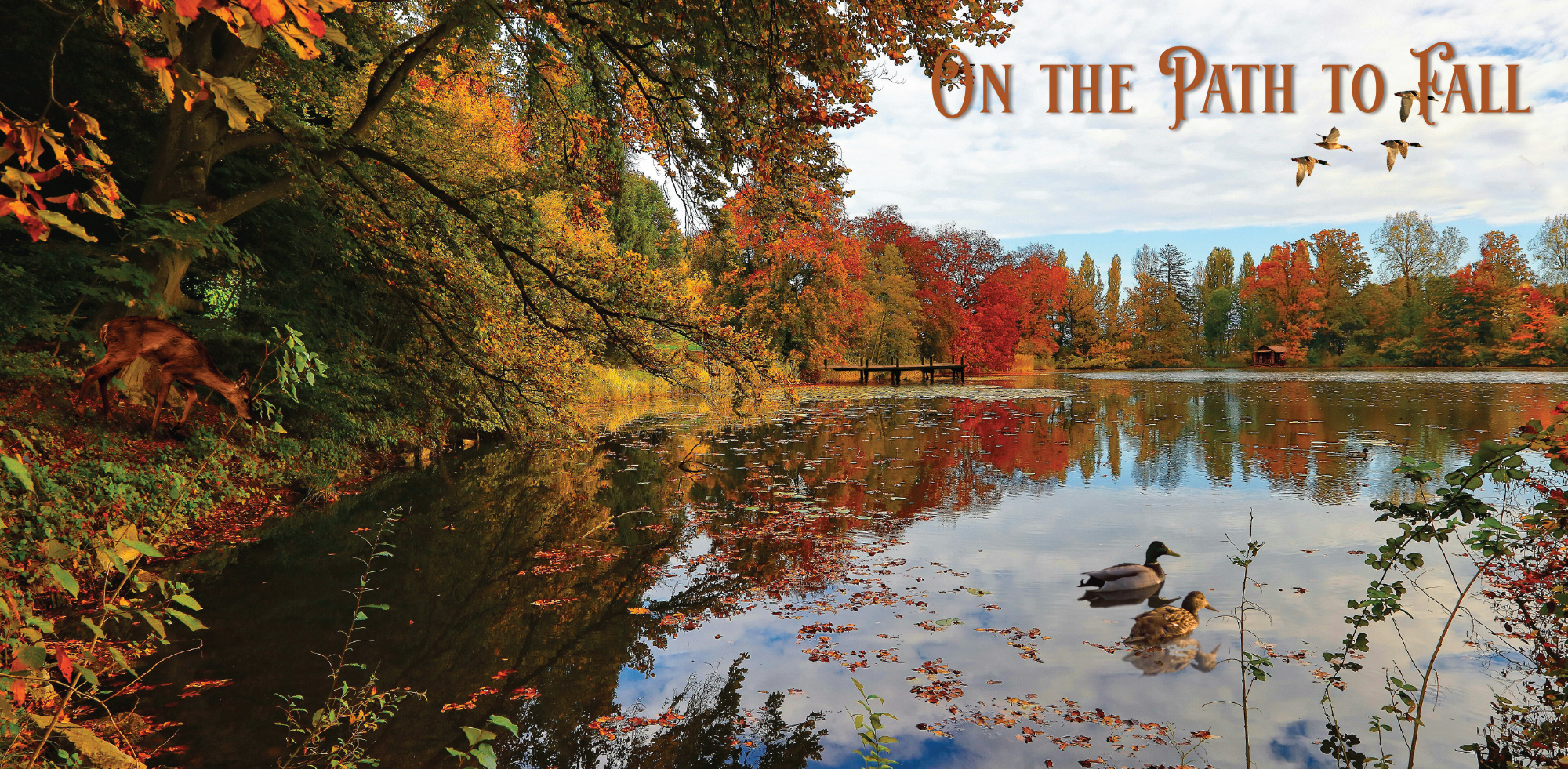 07-On The Path to Fall